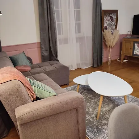 Appartement Elegant Deux Pièces Au Centre De Sélestat