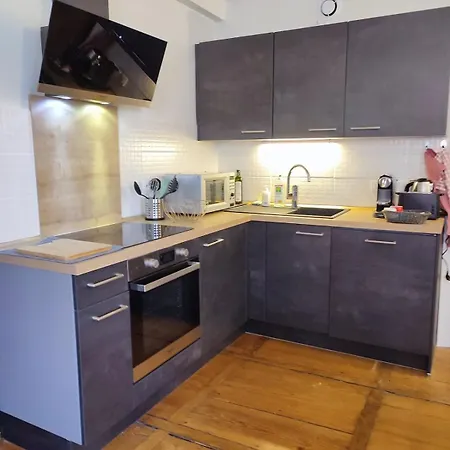 Elegant Deux Pièces Au Centre De Appartement Sélestat