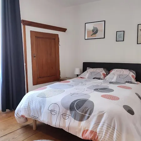 Appartement Elegant Deux Pièces Au Centre De Sélestat