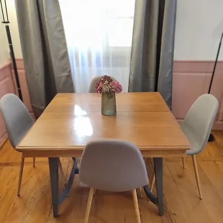 Appartement Elegant Deux Pièces Au Centre De Sélestat