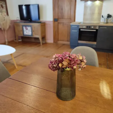 Elegant Deux Pièces Au Centre De Appartement Sélestat